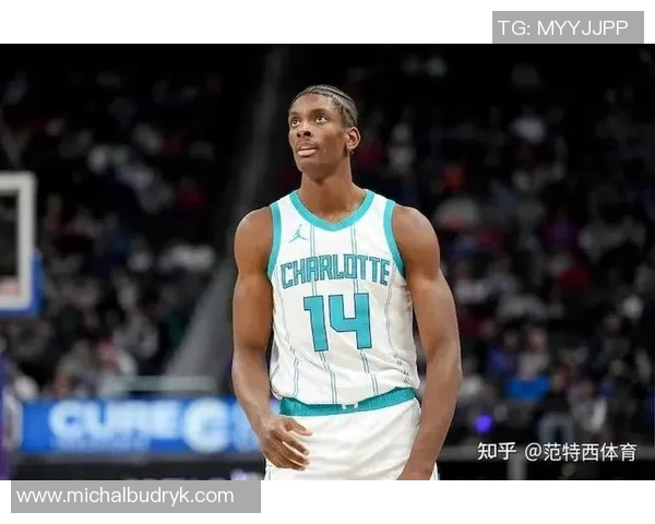 NBA历史上的扩军时刻回顾夏洛特山猫如何成为第30支球队