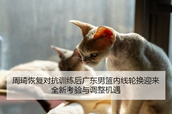 周琦恢复对抗训练后广东男篮内线轮换迎来全新考验与调整机遇